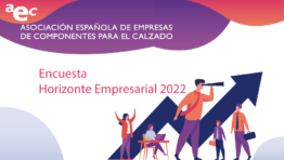 AEC Encuesta HORIZONTE EMPRESARIAL 2022