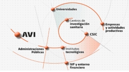 Ayudas AVI 2022 proyectos estratégicos en cooperación